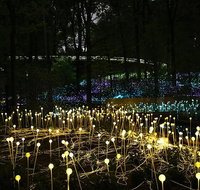 National Anzac Centre Field of Light Panorama Pass - Lismore Accommodation