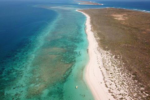 Ningaloo Reef Or Muiron Islands Snorkeling And Wildlife Adventure - Lismore Accommodation 9
