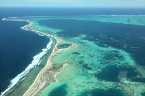 Abrolhos Islands Scenic Flight & Snorkel Adventure From Perth - Lismore Accommodation 5