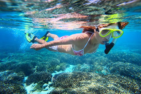 Abrolhos Islands Scenic Flight & Snorkel Adventure From Perth - Lismore Accommodation 2