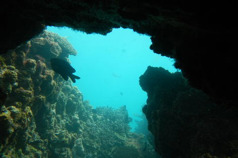 Half-Day Abrolhos Islands Shipwreck Air And Land Tour From Geraldton - Lismore Accommodation 0