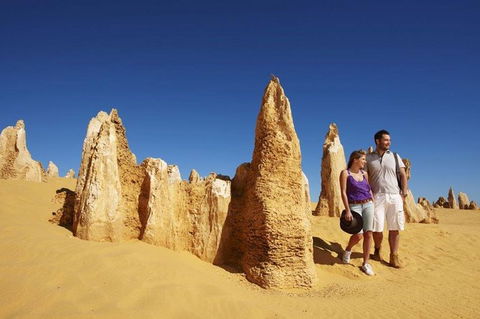 Half Day Pinnacles Sunset Tour - Lismore Accommodation 7
