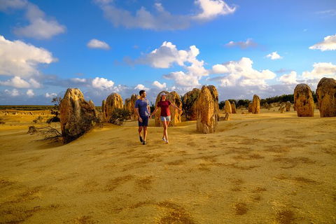 Half Day Pinnacles Sunset Tour - Lismore Accommodation 3