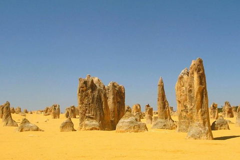 Half Day Pinnacles Sunset Tour - Lismore Accommodation 6