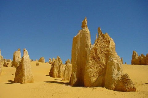 Half Day Pinnacles Sunset Tour - Lismore Accommodation 5