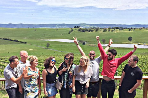 Alternative Yarra Valley Wine Tasting Tour Departing From Melbourne - Lismore Accommodation 0