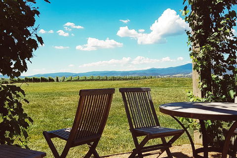 Alternative Yarra Valley Wine Tasting Tour Departing From Melbourne - Lismore Accommodation 11