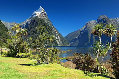 Aroha Tangata Australia And New Zealand 20 Day - Lismore Accommodation 1