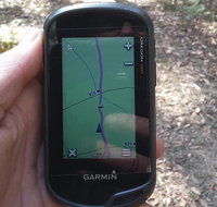 GPS guided walks in the Daylesford Forest - Lismore Accommodation