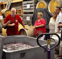 5 Hour Private Wine Tour - Lismore Accommodation