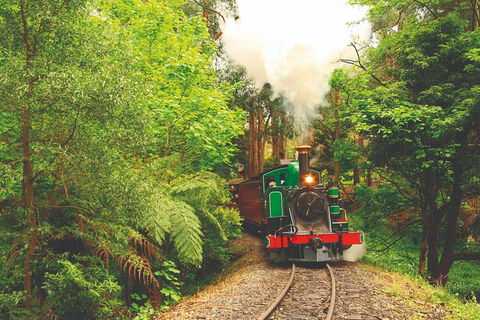 Half Day Puffing Billy Train Journey From Melbourne - Lismore Accommodation 2