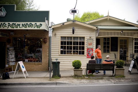 Half Day Puffing Billy Train Journey From Melbourne - Lismore Accommodation 10