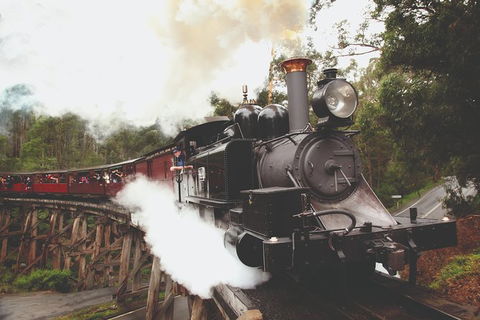 Half Day Puffing Billy Train Journey From Melbourne - Lismore Accommodation 3