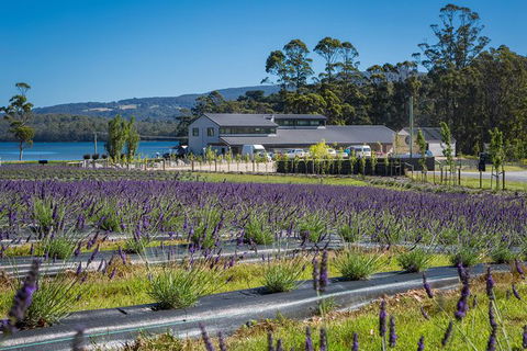 Private Tasman Peninsula Cruise Ship Tour From Port Arthur - Lismore Accommodation 0