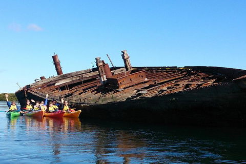 Adelaide Dolphin Sanctuary And Ships Graveyard Kayak Tour - Lismore Accommodation 1