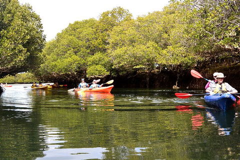 Adelaide Dolphin Sanctuary And Ships Graveyard Kayak Tour - Lismore Accommodation 8