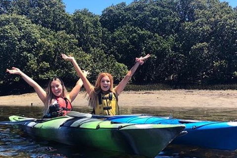 Adelaide Dolphin Sanctuary And Ships Graveyard Kayak Tour - Lismore Accommodation 4