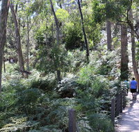 Self-Guided Waterfall Gully to Mount Lofty Hike from Adelaide