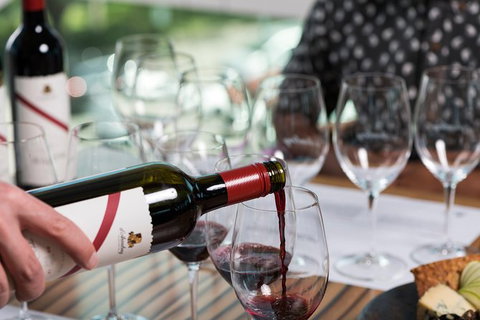 D'Arenberg McLaren Vale: The Dead Arm Shiraz Vertical Masterclass And Cheese Plate - Lismore Accommodation 1