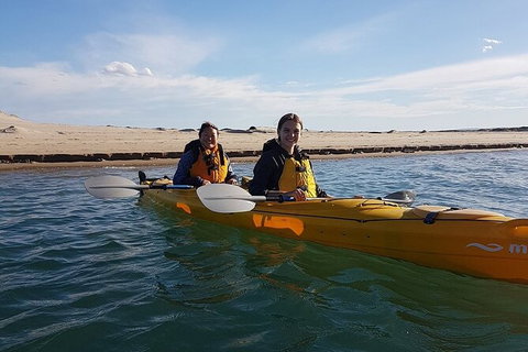 Half-Day Kayaking Tour In Coorong National Park - Lismore Accommodation 5