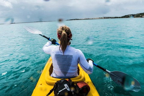 Half-Day Kayaking Tour In Coorong National Park - Lismore Accommodation 7