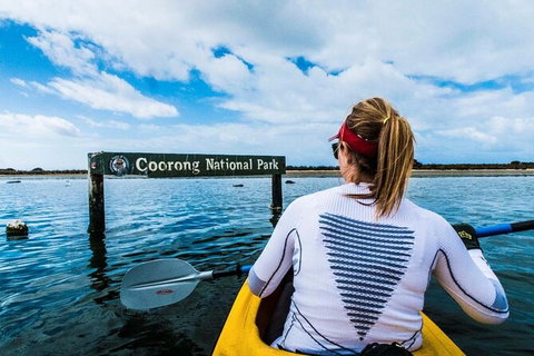 Half-Day Kayaking Tour In Coorong National Park - Lismore Accommodation 4