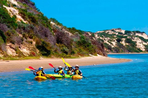 Half-Day Kayaking Tour In Coorong National Park - Lismore Accommodation 2