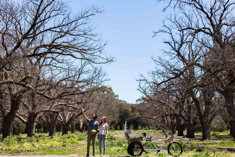 Adelaide 90-Minute Pedicab Tour: Scenic Green & River Experience - Lismore Accommodation 1