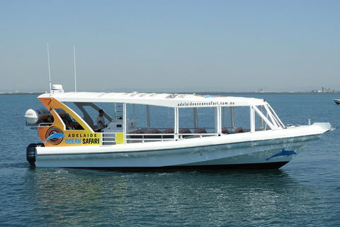 Adelaide Ocean Safari - Wild Dolphin Safari - Lismore Accommodation 0