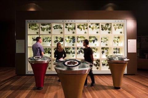 Australian Wine Discovery Tour Ticket - Lismore Accommodation 5