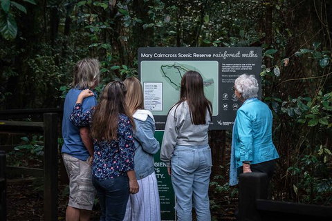 Sunshine Coast Hinterland And Noosa Day Trip From Brisbane Including Eumundi Markets And Ginger Factory - Lismore Accommodation 4