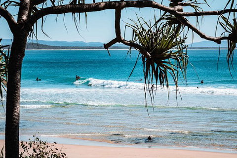 Sunshine Coast Hinterland And Noosa Day Trip From Brisbane Including Eumundi Markets And Ginger Factory - Lismore Accommodation 8