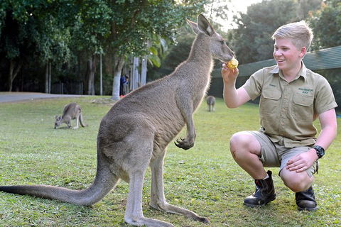 Small-Group Australia Zoo Day Trip From Brisbane - Lismore Accommodation 6