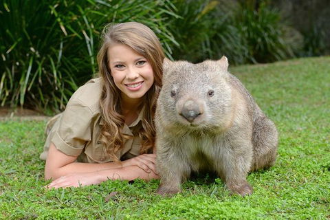 Small-Group Australia Zoo Day Trip From Brisbane - Lismore Accommodation 5