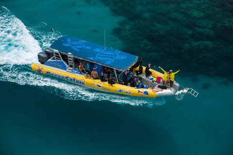 Ocean Safari Great Barrier Reef Experience In Cape Tribulation - Lismore Accommodation 1