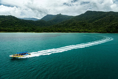 Ocean Safari Great Barrier Reef Experience In Cape Tribulation - Lismore Accommodation 6