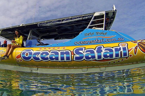 Ocean Safari Great Barrier Reef Experience In Cape Tribulation - Lismore Accommodation 8