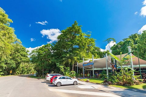 Ocean Safari Great Barrier Reef Experience In Cape Tribulation - Lismore Accommodation 7