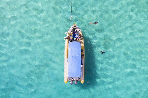 Ocean Safari Great Barrier Reef Experience In Cape Tribulation - Lismore Accommodation 17