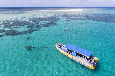 Ocean Safari Great Barrier Reef Experience In Cape Tribulation - Lismore Accommodation 11