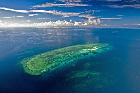 Ocean Safari Great Barrier Reef Experience In Cape Tribulation - Lismore Accommodation 15