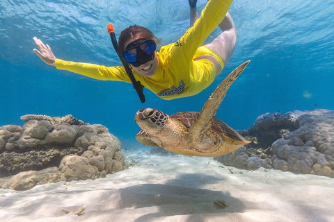 Ocean Safari Great Barrier Reef Experience In Cape Tribulation - Lismore Accommodation 2