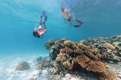 5-Day Fraser Island And Great Barrier Reef Tour - Lismore Accommodation 1