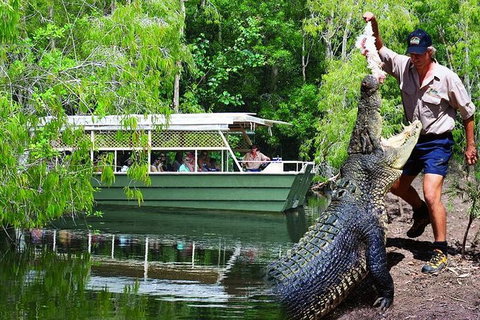Crocs, Creatures And Culture Tour Ex Cairns - Lismore Accommodation 1