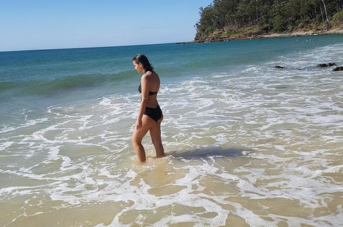 Noosa And Sunshine Coast Hinterland Day Trip From Brisbane - Lismore Accommodation 7