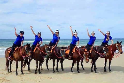 Rainbow Beach Horse Ride - Lismore Accommodation 4