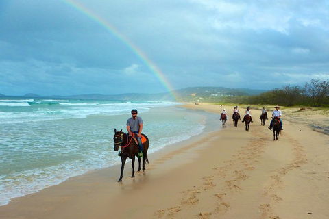 Rainbow Beach Horse Ride - Lismore Accommodation 1