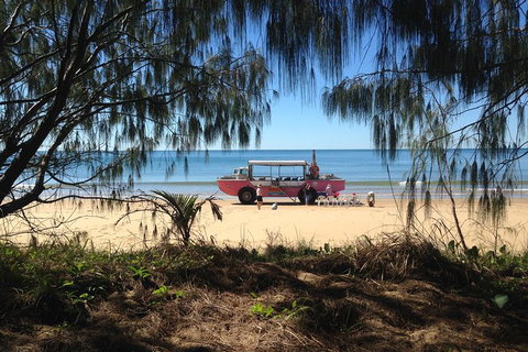 1770 Coastline Tour By LARC Amphibious Vehicle Including Picnic Lunch - Lismore Accommodation 2
