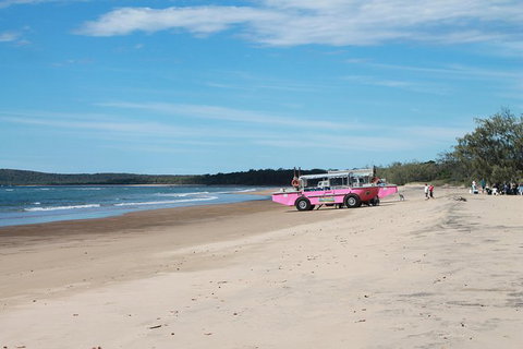 1770 Coastline Tour By LARC Amphibious Vehicle Including Picnic Lunch - Lismore Accommodation 6