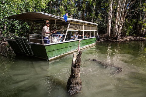 Hartley\'s Crocodile Adventures Day Trip From Palm Cove - Lismore Accommodation 0
